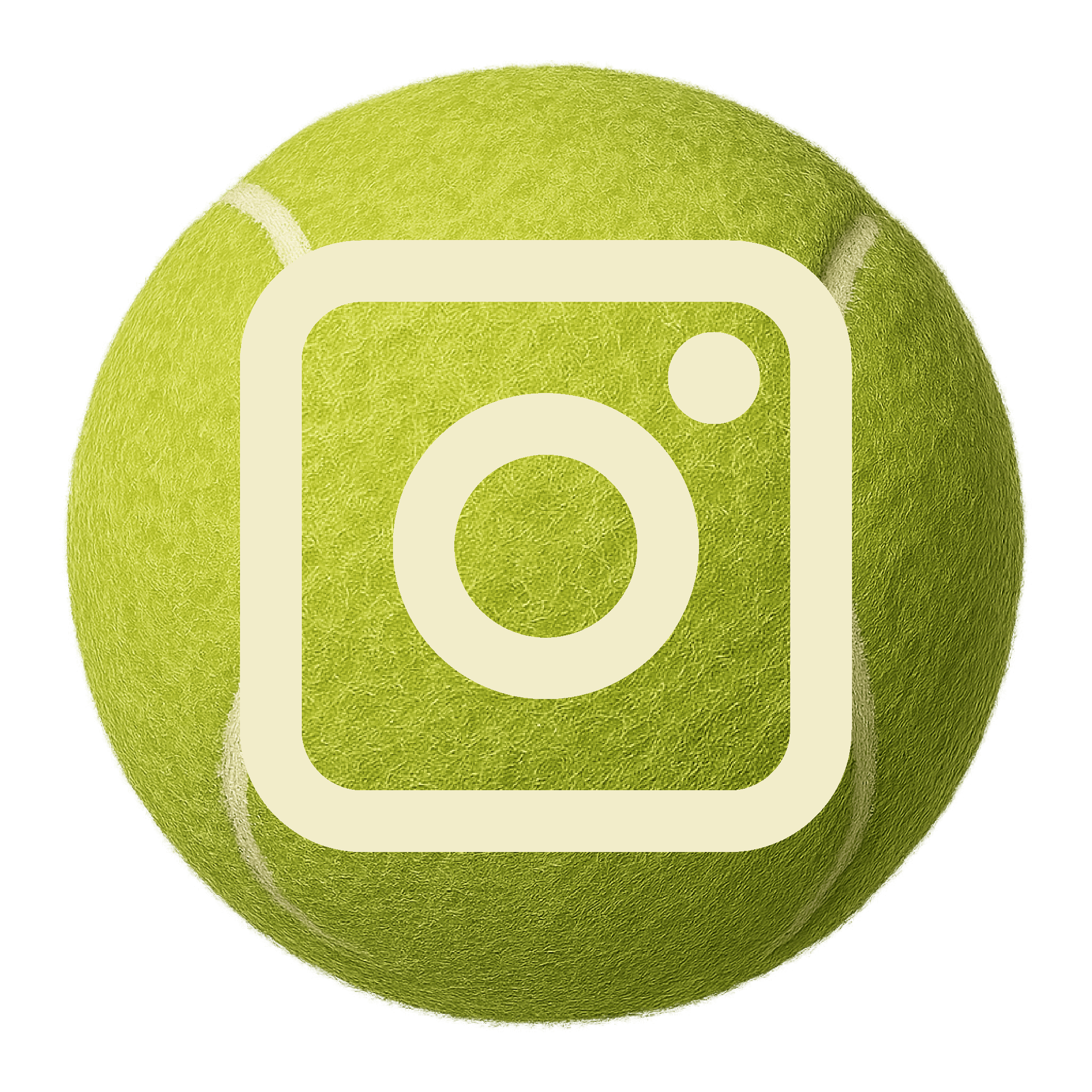 Instagram Icon